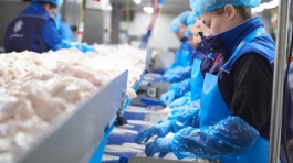 Isola-Kramer-productie-4-scaled